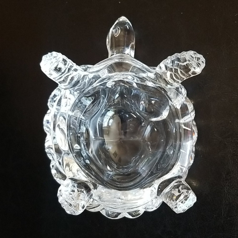 Crystal Turtle - Picture 4 of 5
